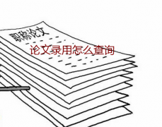 论文录用怎么查询