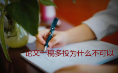 论文一稿多投为什么不可以