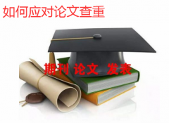 如何应对论文查重