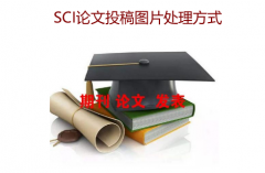 SCI论文投稿图片处理方式