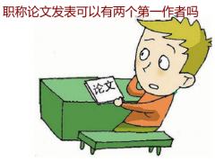 职称论文发表可以有两个第一作者吗